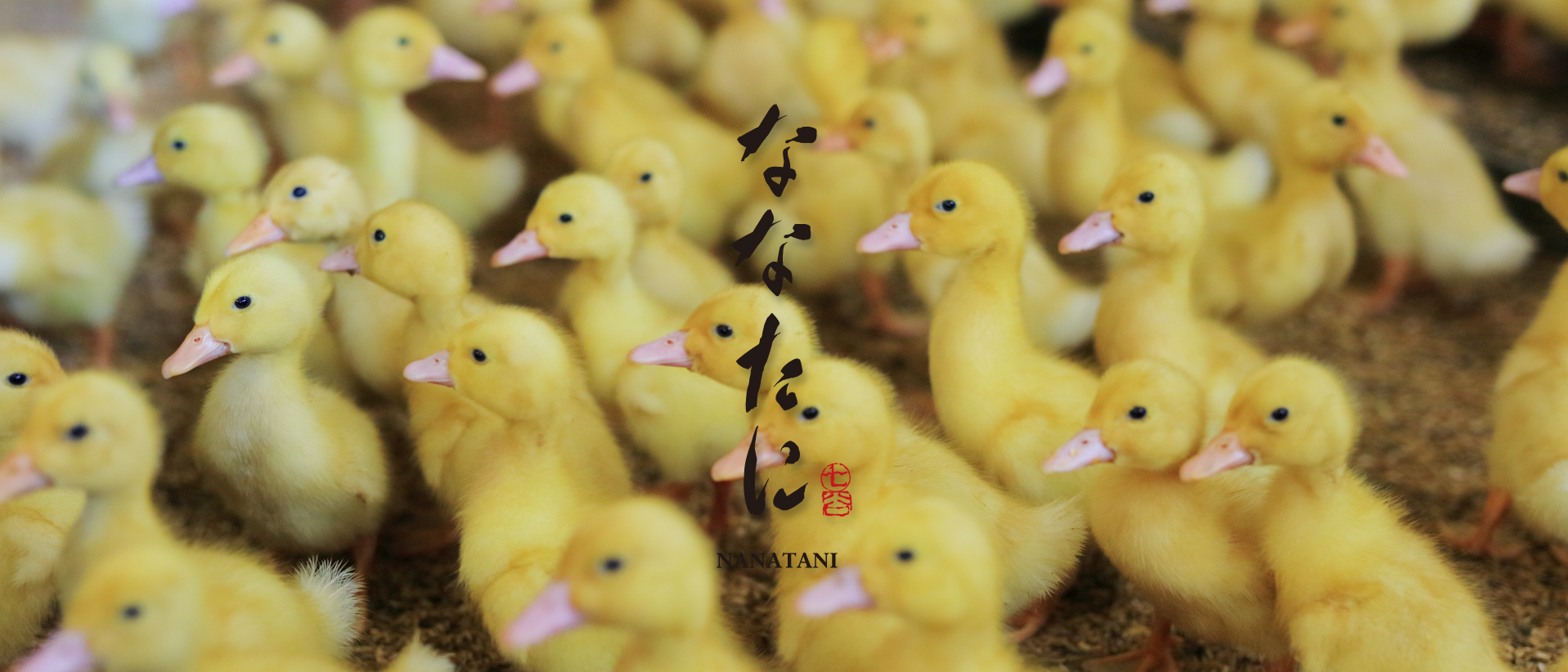 メイン02 メイン02