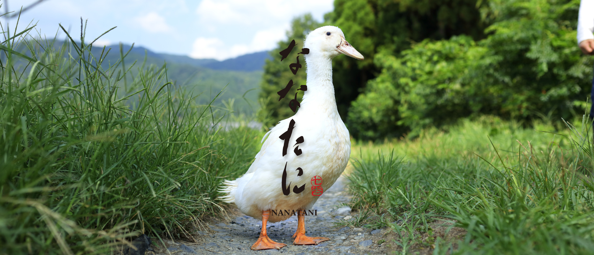 メイン03 メイン03