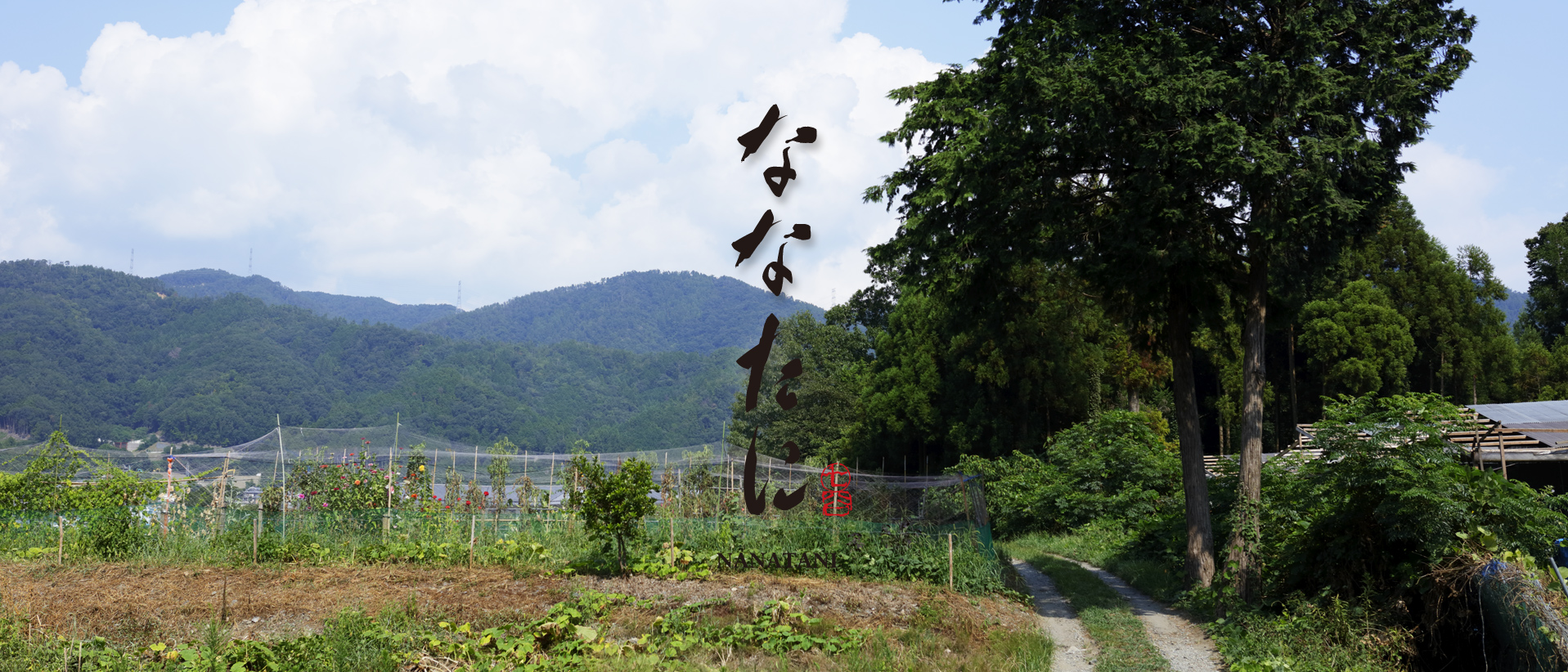 メイン05 メイン05